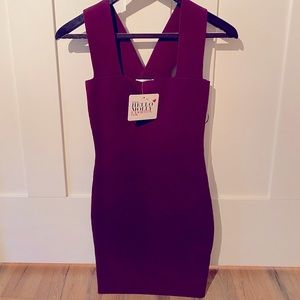 NWT Sexy Hello Molly Dress!